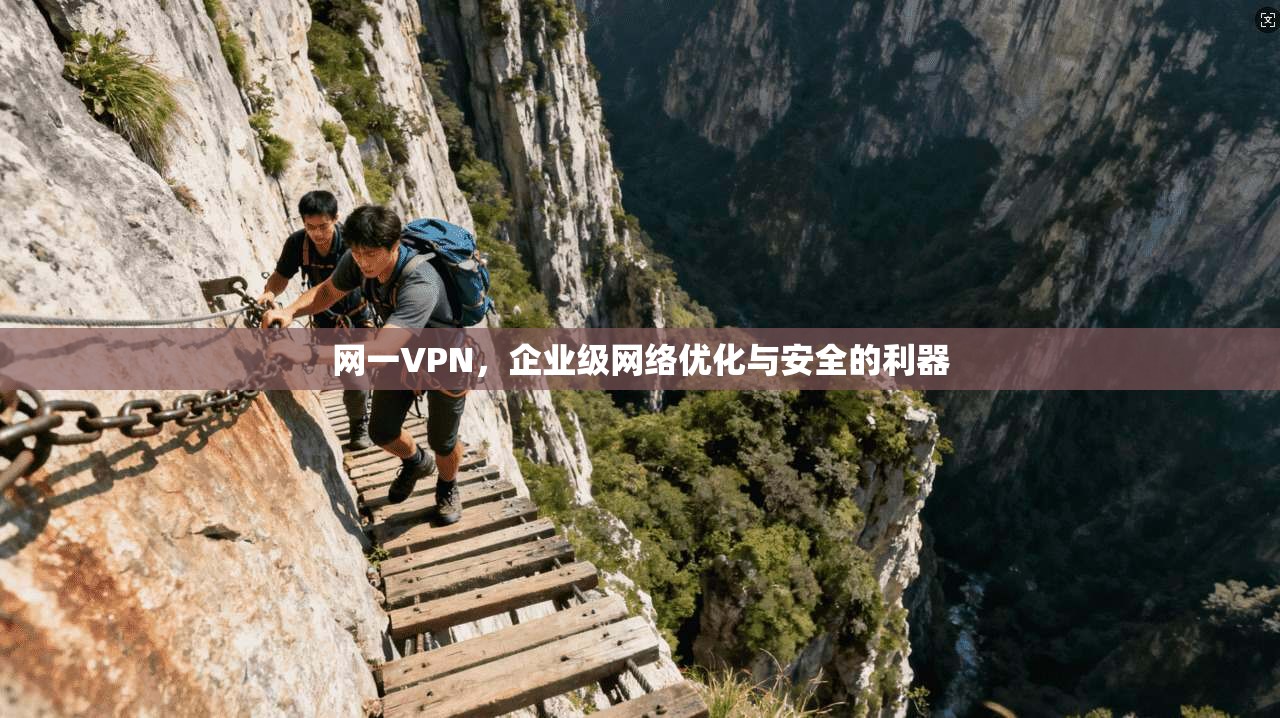 网一VPN，企业级网络优化与安全的利器