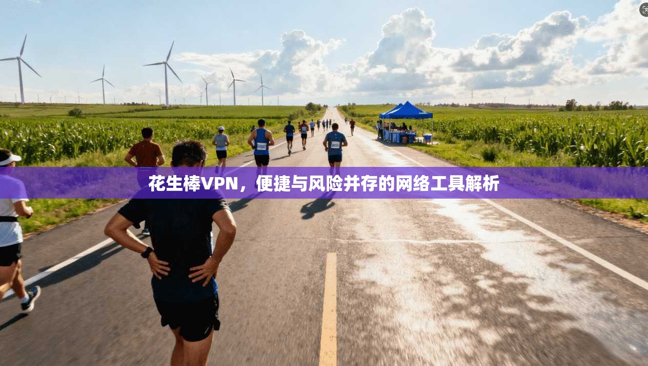 花生棒VPN，便捷与风险并存的网络工具解析