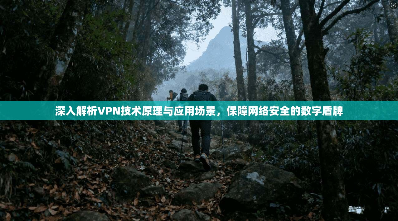 深入解析VPN技术原理与应用场景,保障网络安全的数字盾牌