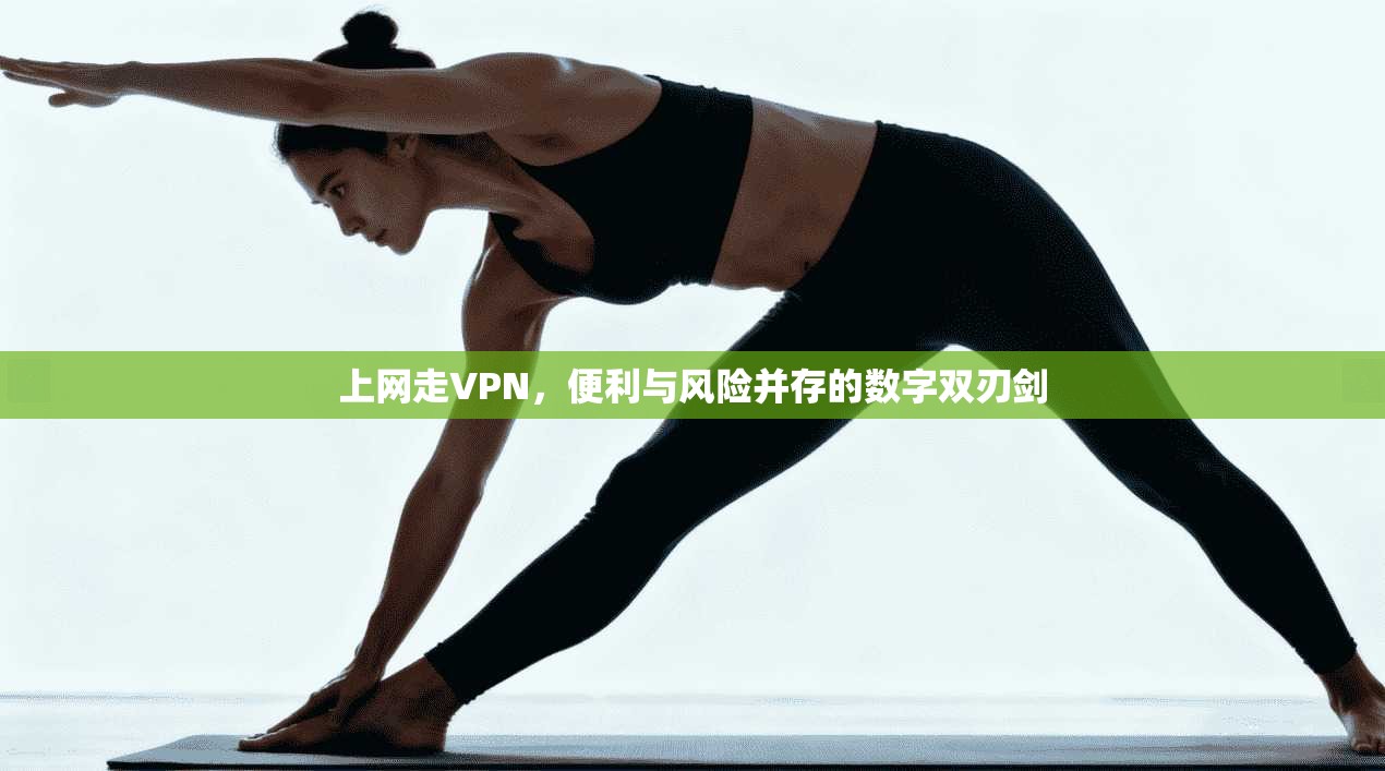 上网走VPN,便利与风险并存的数字双刃剑