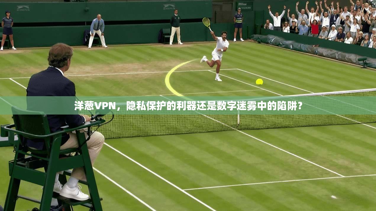 洋葱VPN,隐私保护的利器还是数字迷雾中的陷阱?