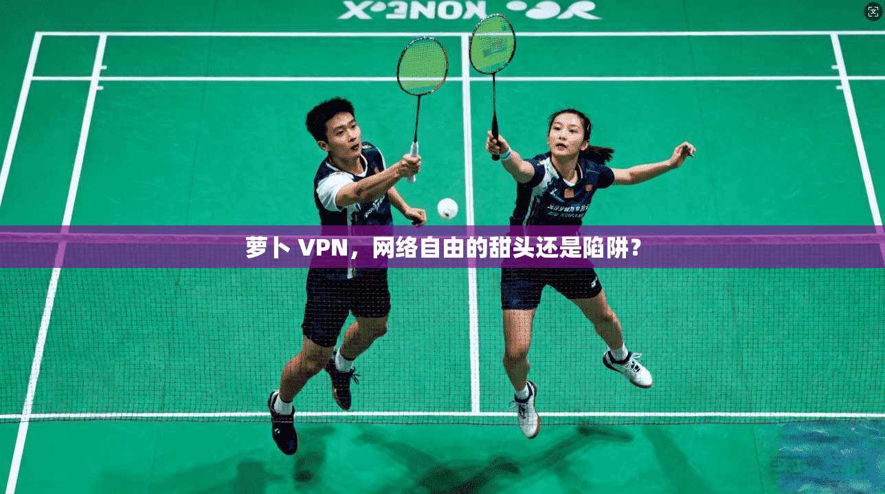 萝卜 VPN,网络自由的甜头还是陷阱?