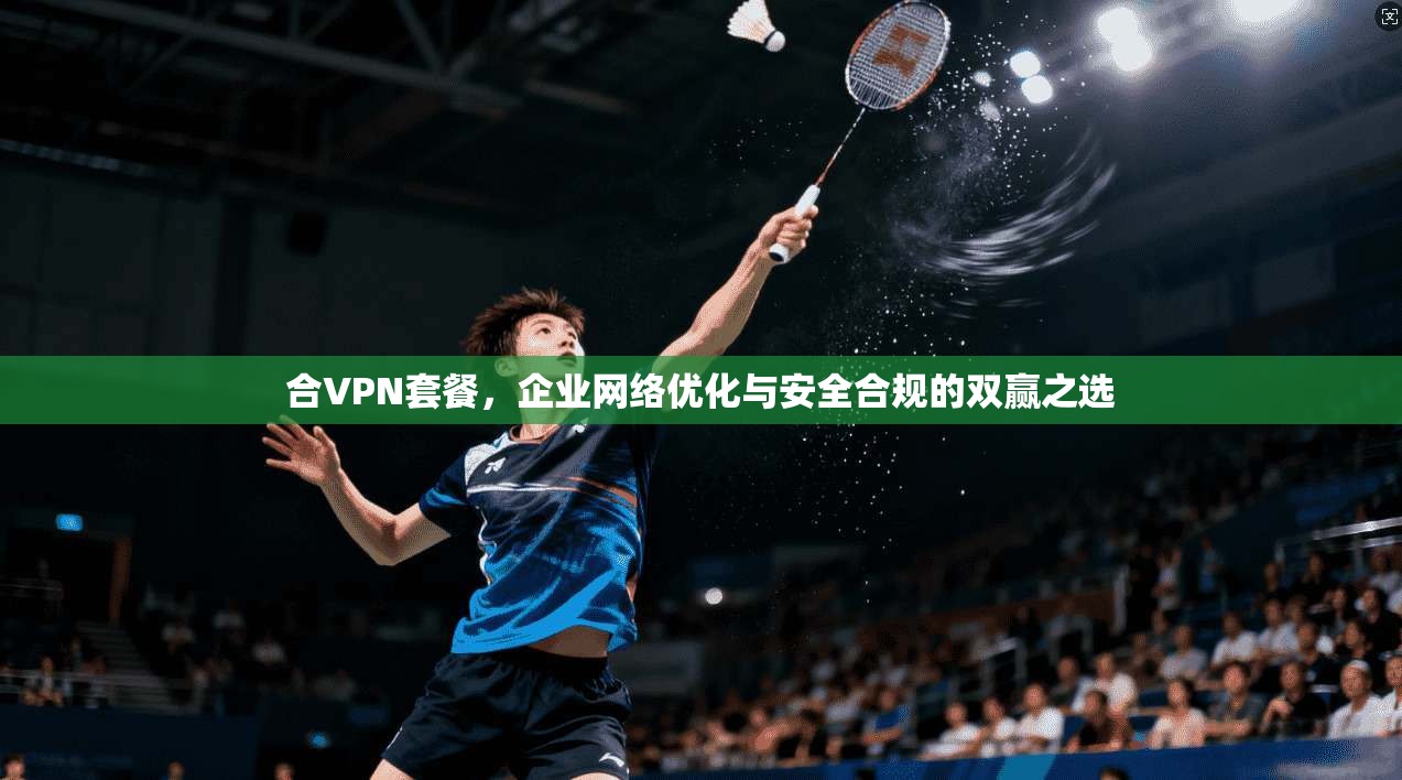 合VPN套餐，企业网络优化与安全合规的双赢之选