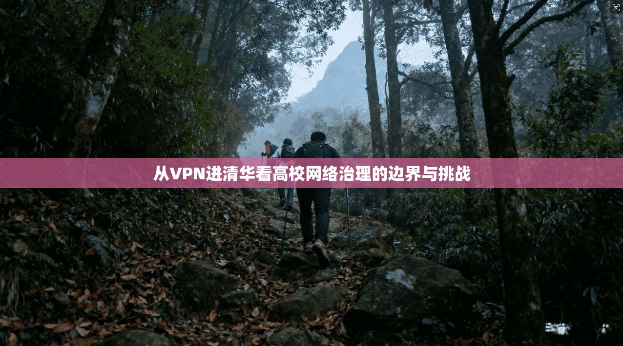 从VPN进清华看高校网络治理的边界与挑战