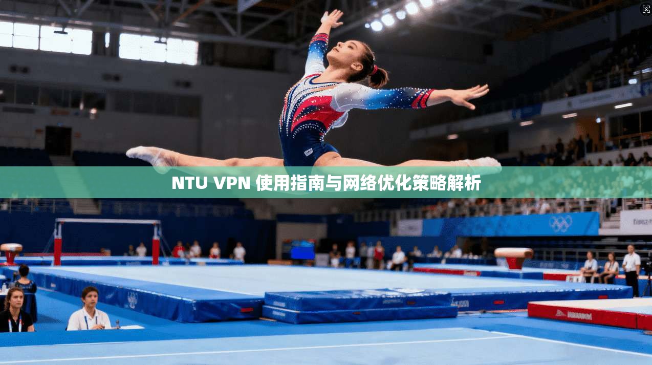 NTU VPN 使用指南与网络优化策略解析