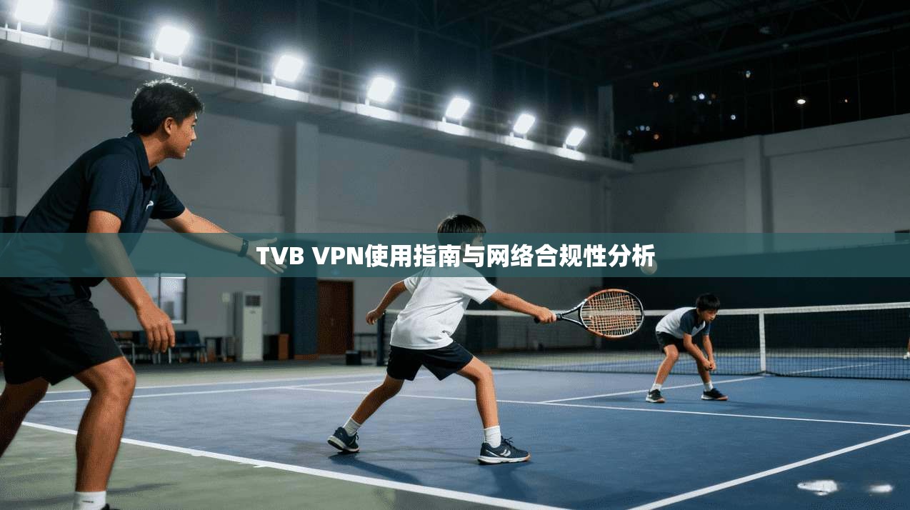 TVB VPN使用指南与网络合规性分析