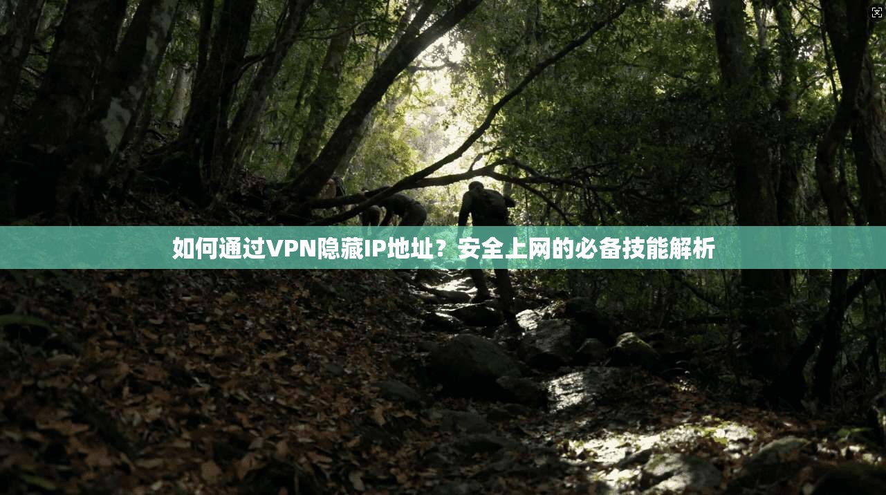 如何通过VPN隐藏IP地址？安全上网的必备技能解析
