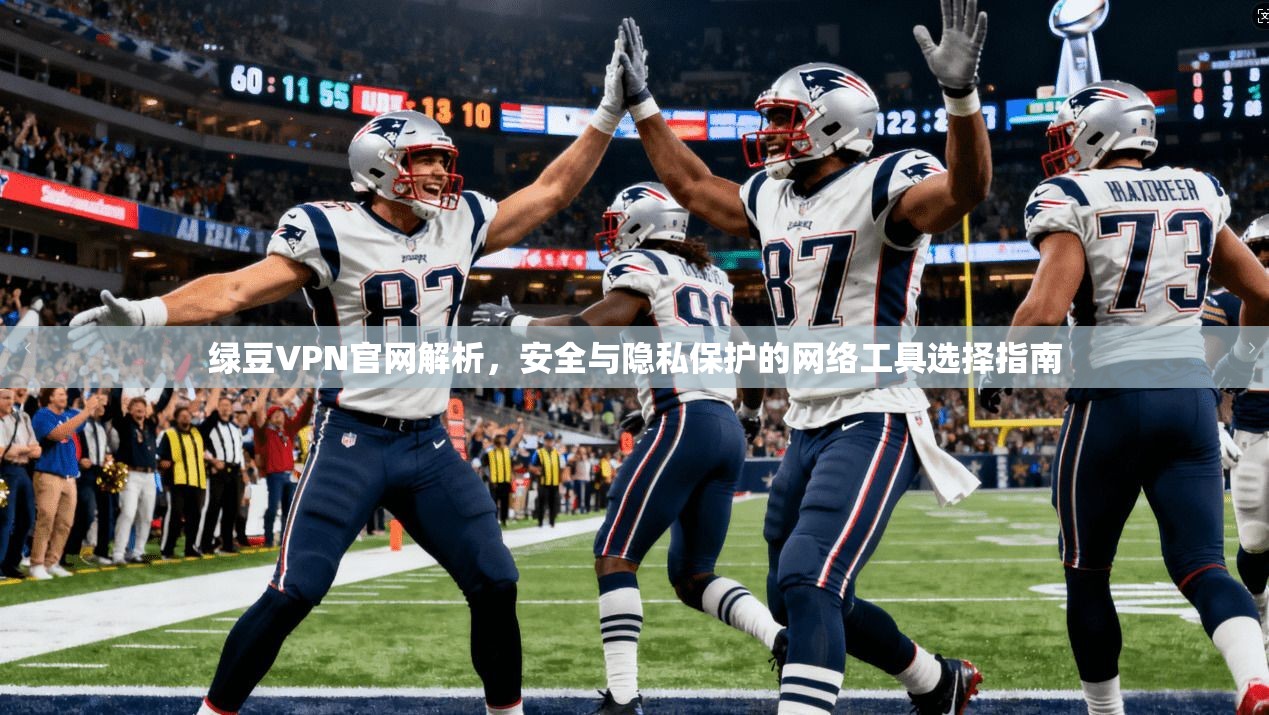 绿豆VPN官网解析,安全与隐私保护的网络工具选择指南
