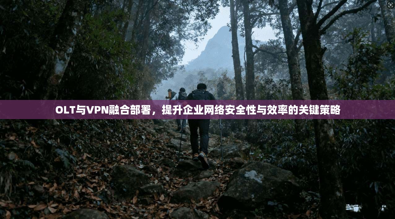 OLT与VPN融合部署，提升企业网络安全性与效率的关键策略