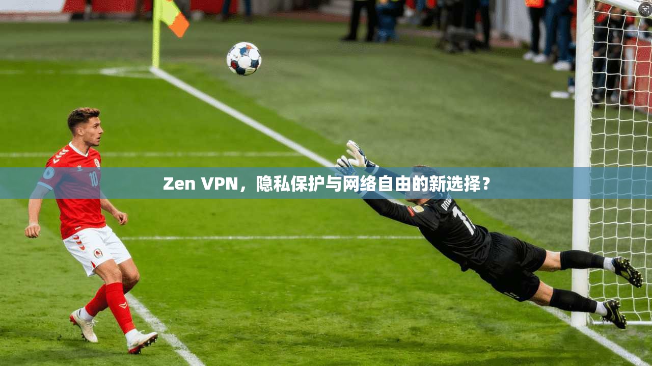 Zen VPN，隐私保护与网络自由的新选择？