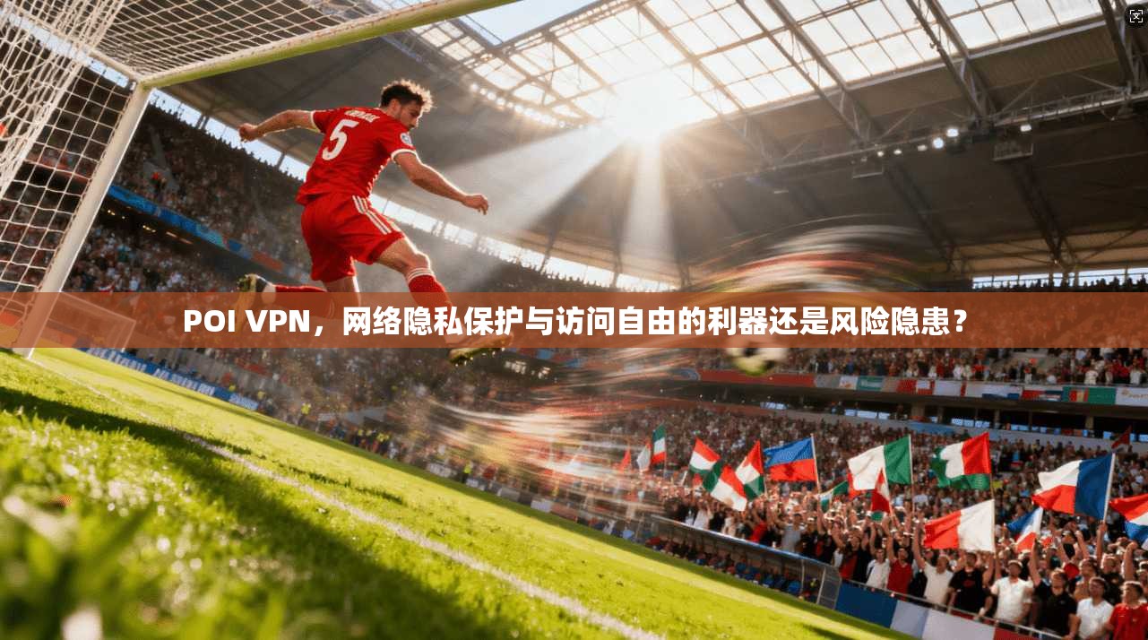 POI VPN，网络隐私保护与访问自由的利器还是风险隐患？