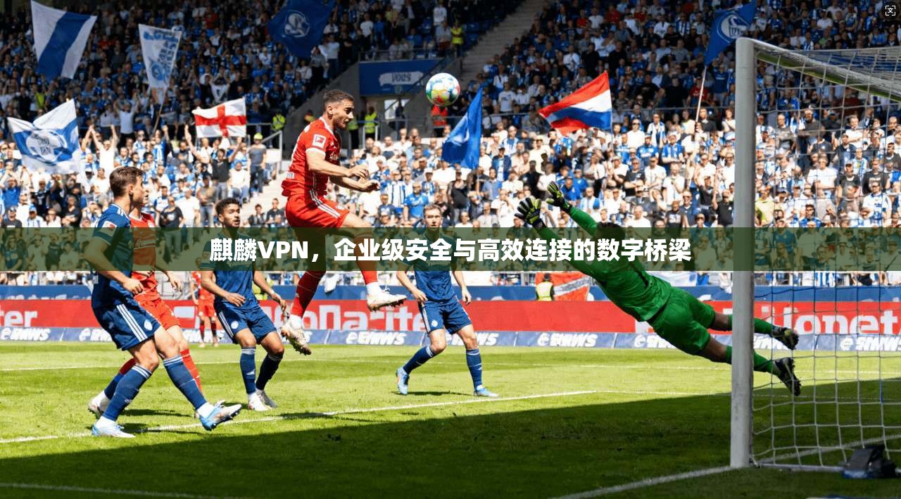 麒麟VPN，企业级安全与高效连接的数字桥梁