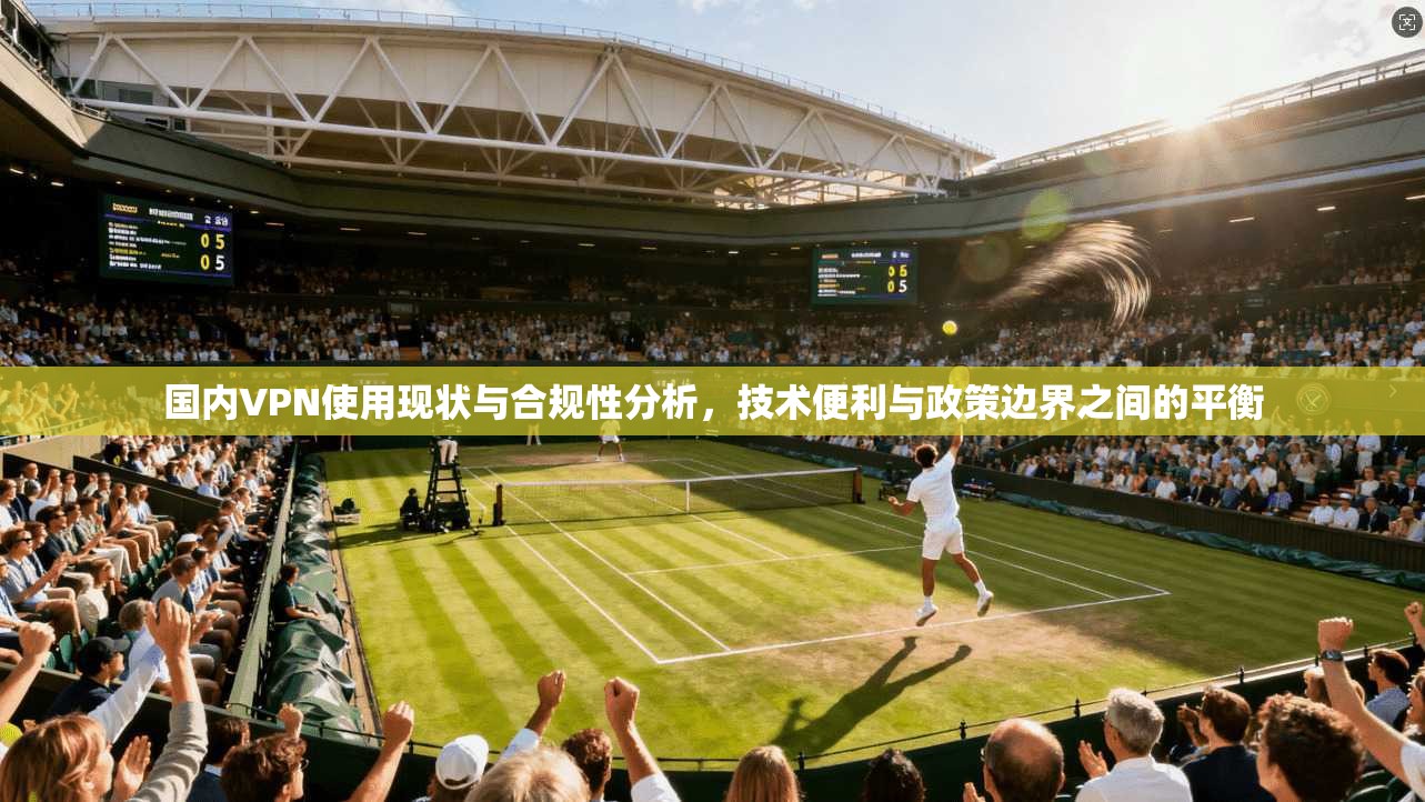 国内VPN使用现状与合规性分析，技术便利与政策边界之间的平衡