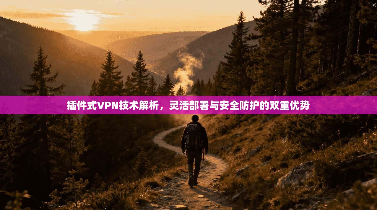 插件式VPN技术解析，灵活部署与安全防护的双重优势