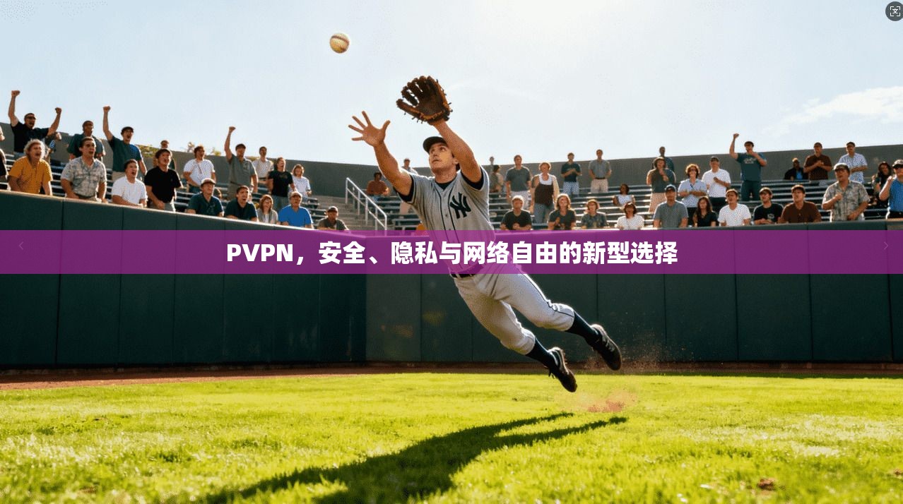 PVPN，安全、隐私与网络自由的新型选择