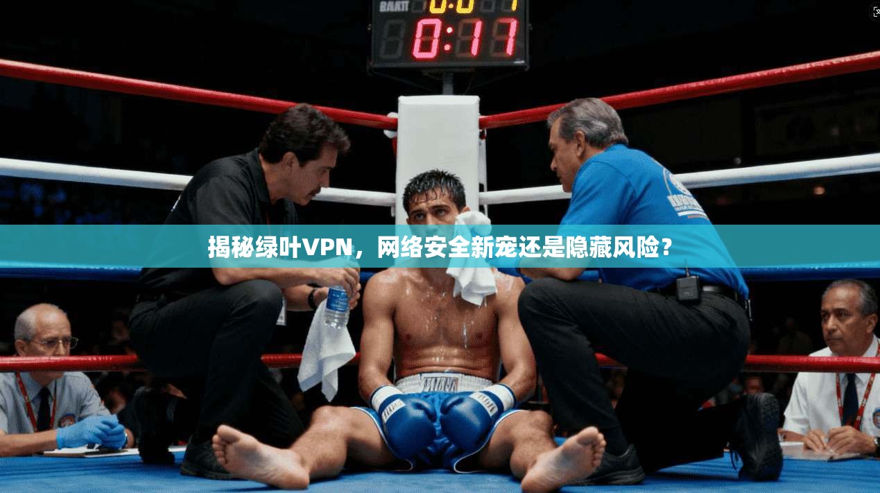 揭秘绿叶VPN，网络安全新宠还是隐藏风险？