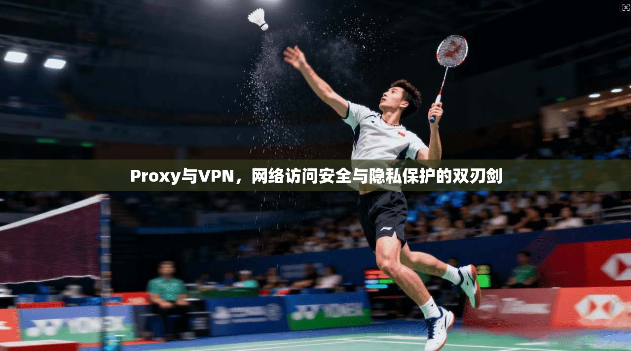 Proxy与VPN，网络访问安全与隐私保护的双刃剑