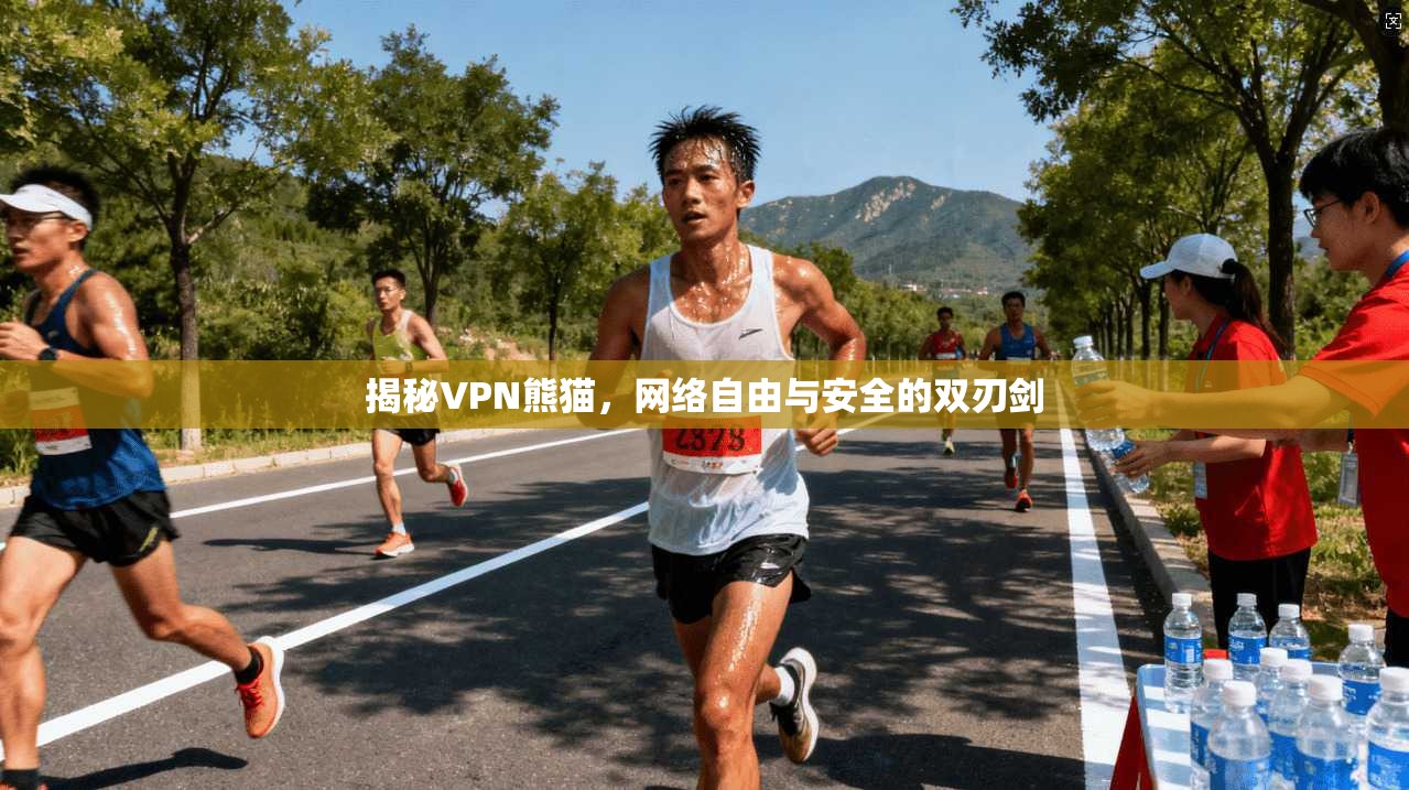 揭秘VPN熊猫，网络自由与安全的双刃剑