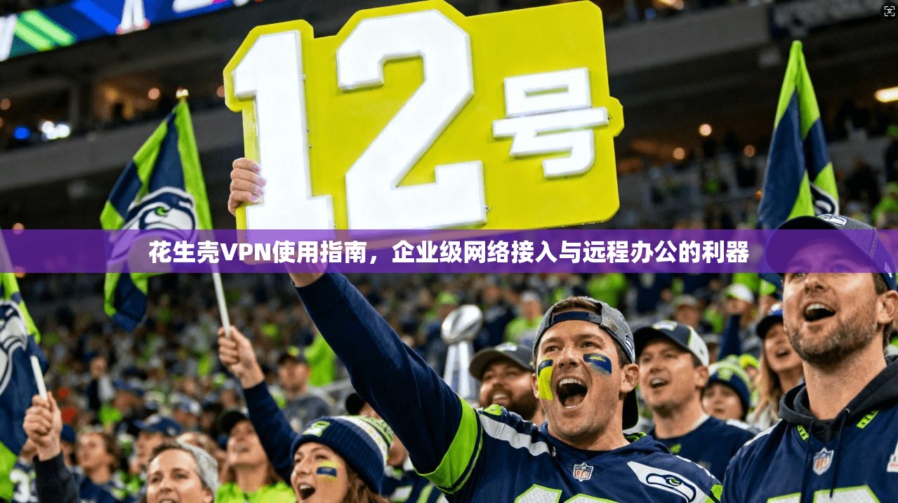 花生壳VPN使用指南，企业级网络接入与远程办公的利器