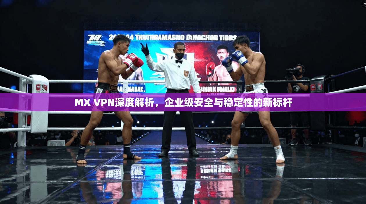 MX VPN深度解析，企业级安全与稳定性的新标杆