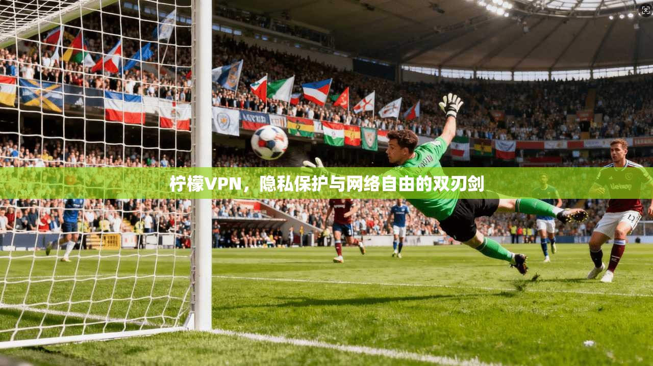 柠檬VPN，隐私保护与网络自由的双刃剑