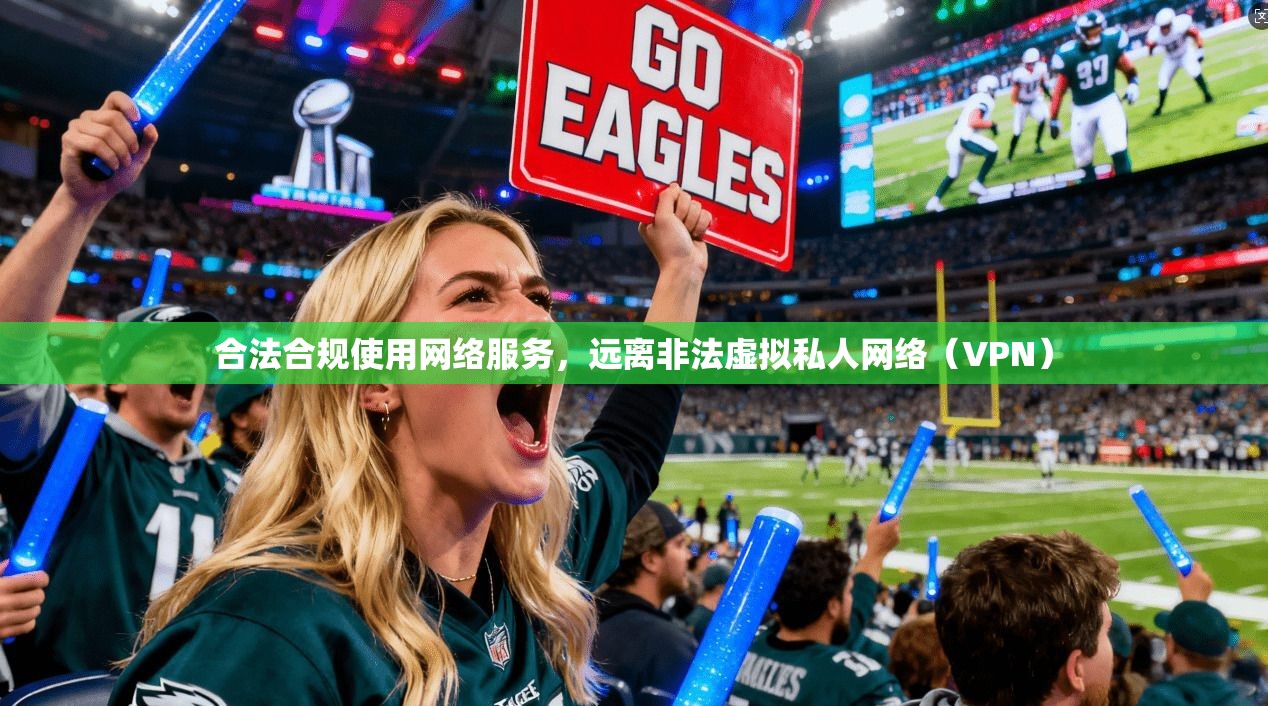 合法合规使用网络服务，远离非法虚拟私人网络（VPN）