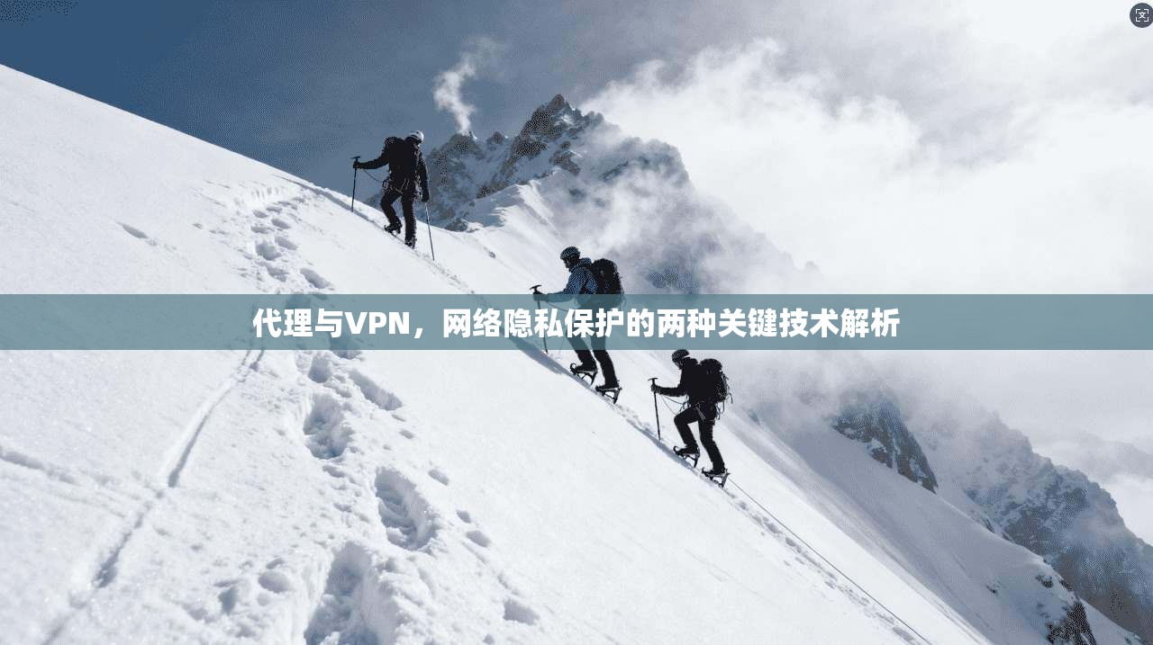 代理与VPN，网络隐私保护的两种关键技术解析