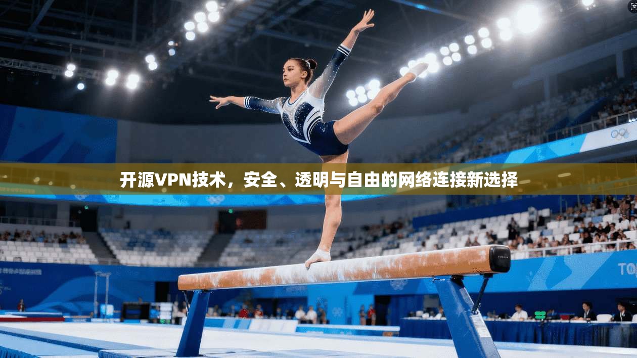 开源VPN技术，安全、透明与自由的网络连接新选择