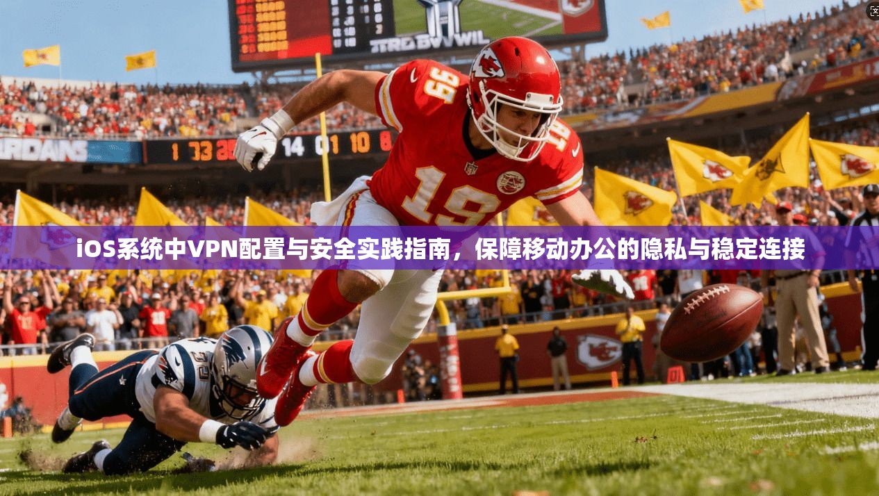 iOS系统中VPN配置与安全实践指南，保障移动办公的隐私与稳定连接