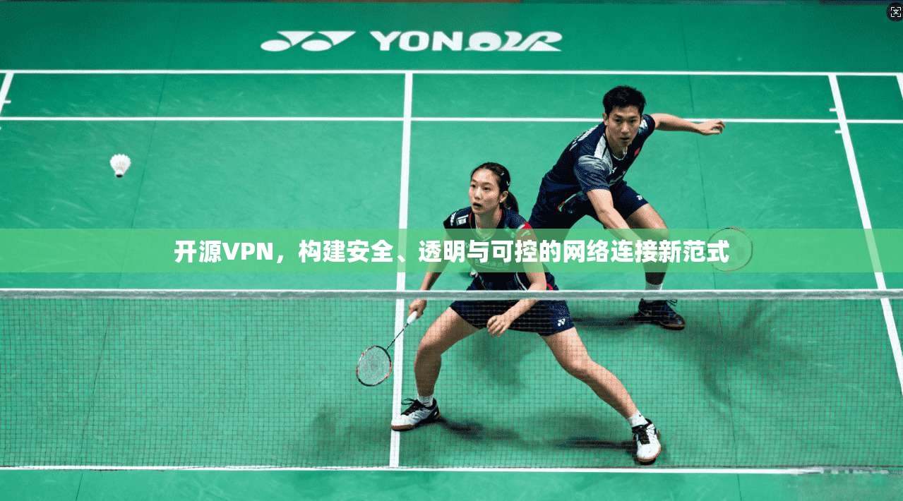 开源VPN，构建安全、透明与可控的网络连接新范式
