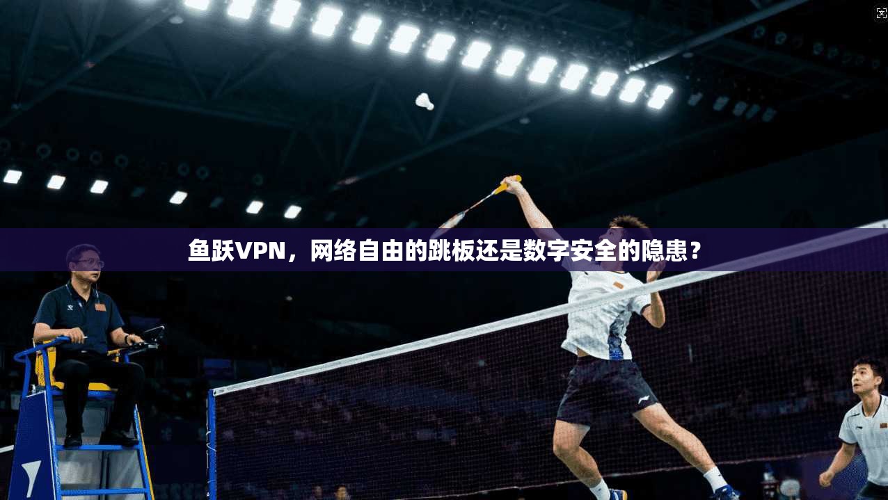 鱼跃VPN，网络自由的跳板还是数字安全的隐患？