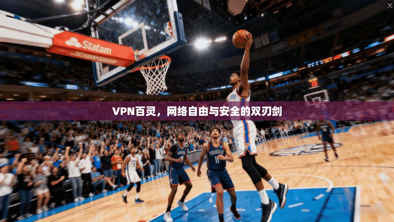 VPN百灵，网络自由与安全的双刃剑