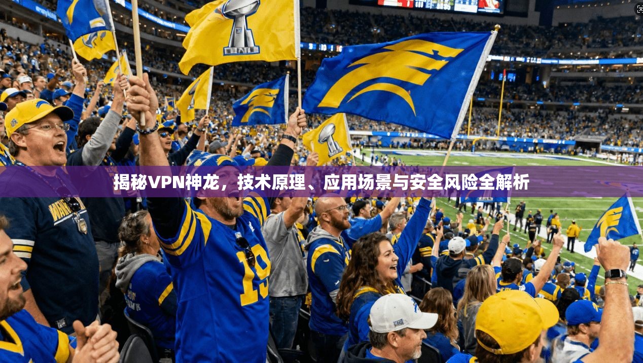 揭秘VPN神龙，技术原理、应用场景与安全风险全解析