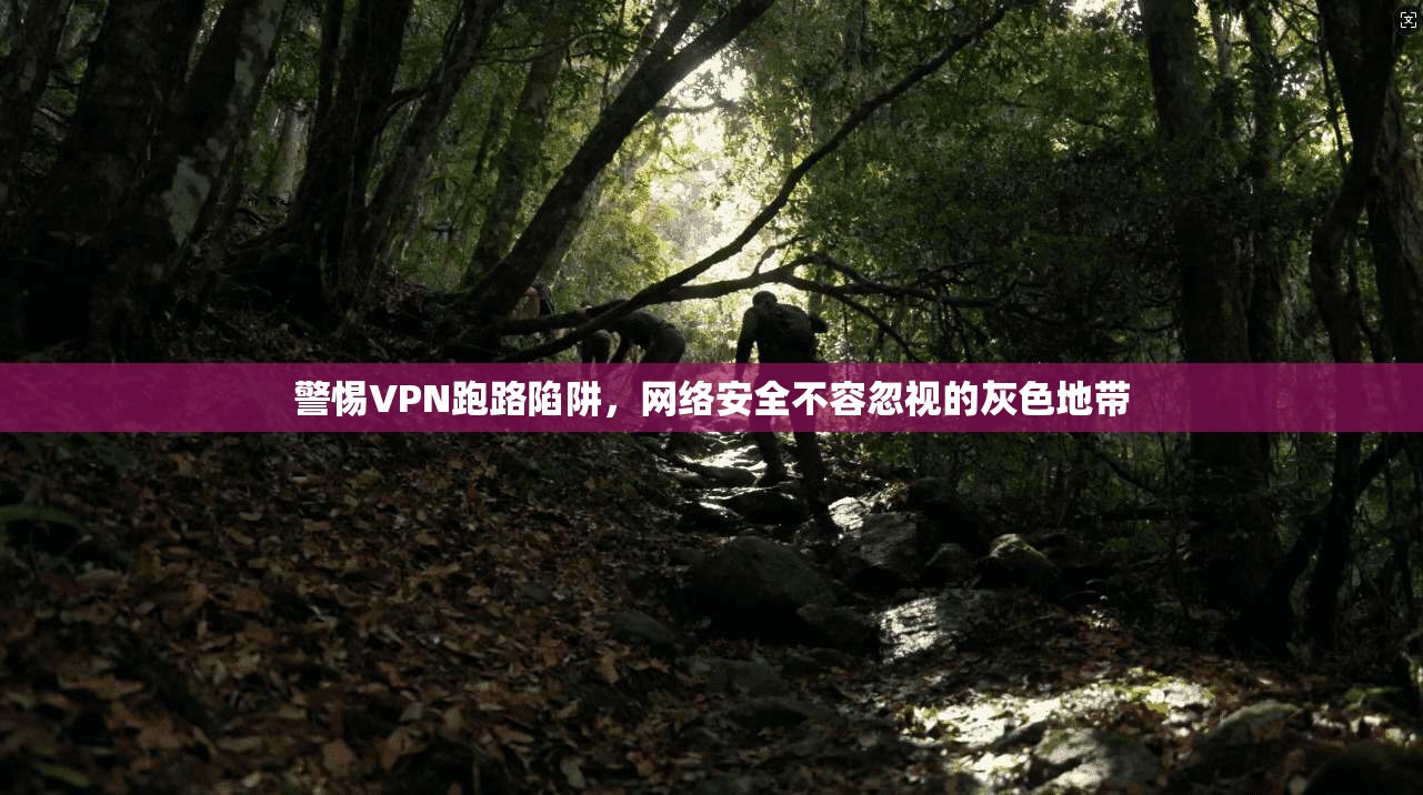 警惕VPN跑路陷阱，网络安全不容忽视的灰色地带