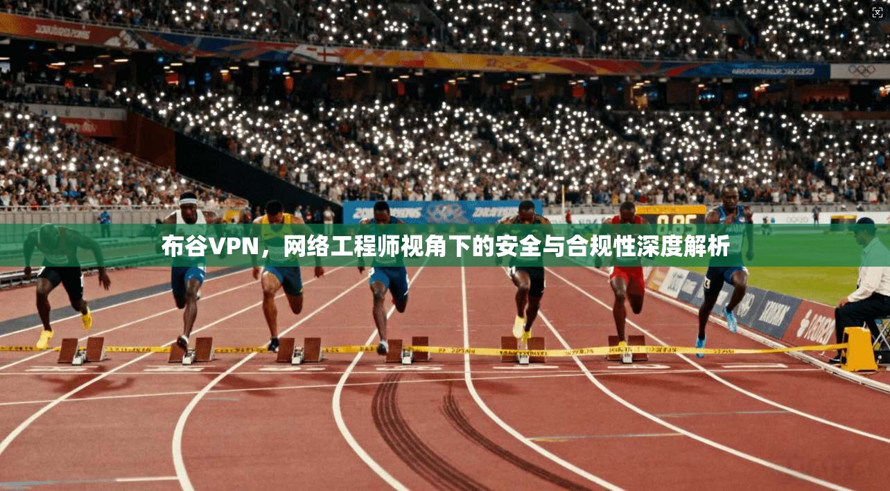 布谷VPN，网络工程师视角下的安全与合规性深度解析
