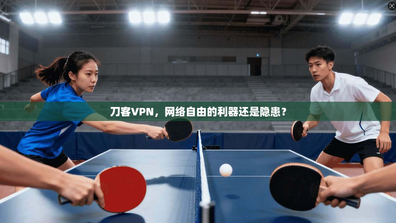 刀客VPN，网络自由的利器还是隐患？