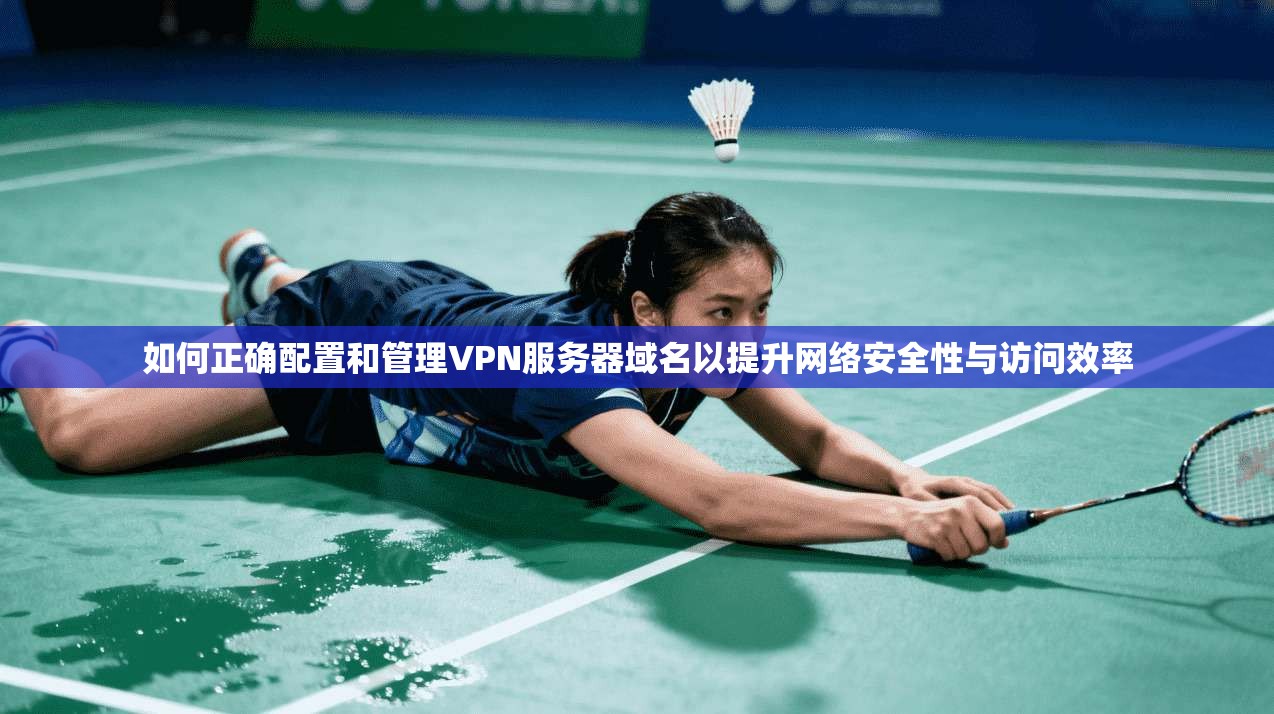 如何正确配置和管理VPN服务器域名以提升网络安全性与访问效率
