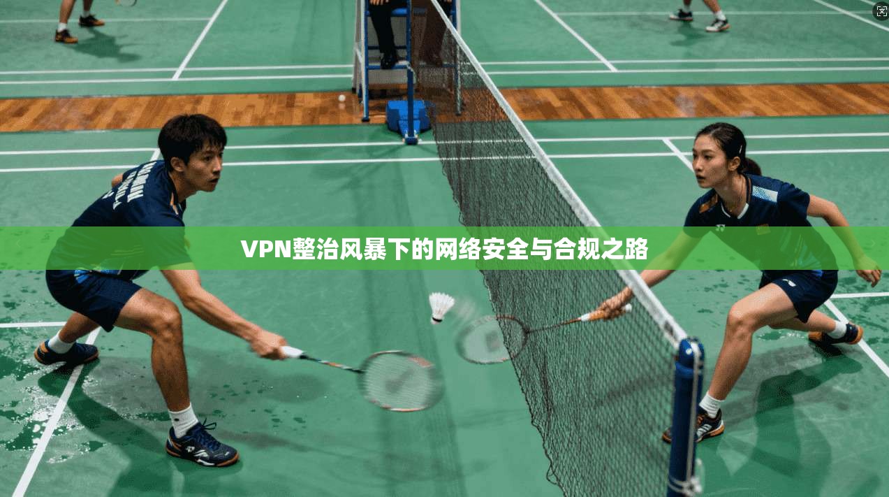 VPN整治风暴下的网络安全与合规之路