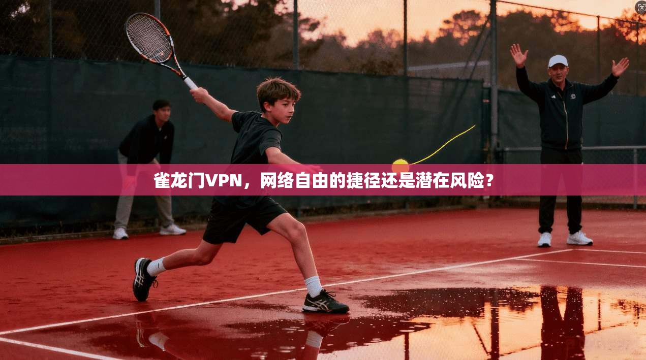 雀龙门VPN，网络自由的捷径还是潜在风险？