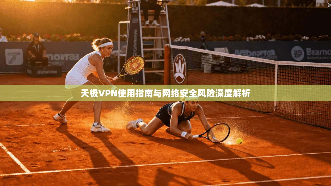 天极VPN使用指南与网络安全风险深度解析