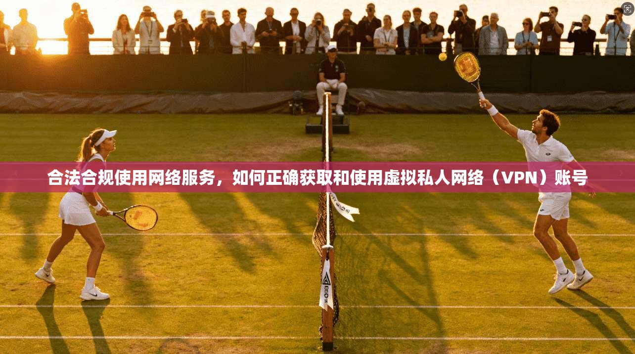 合法合规使用网络服务，如何正确获取和使用虚拟私人网络（VPN）账号