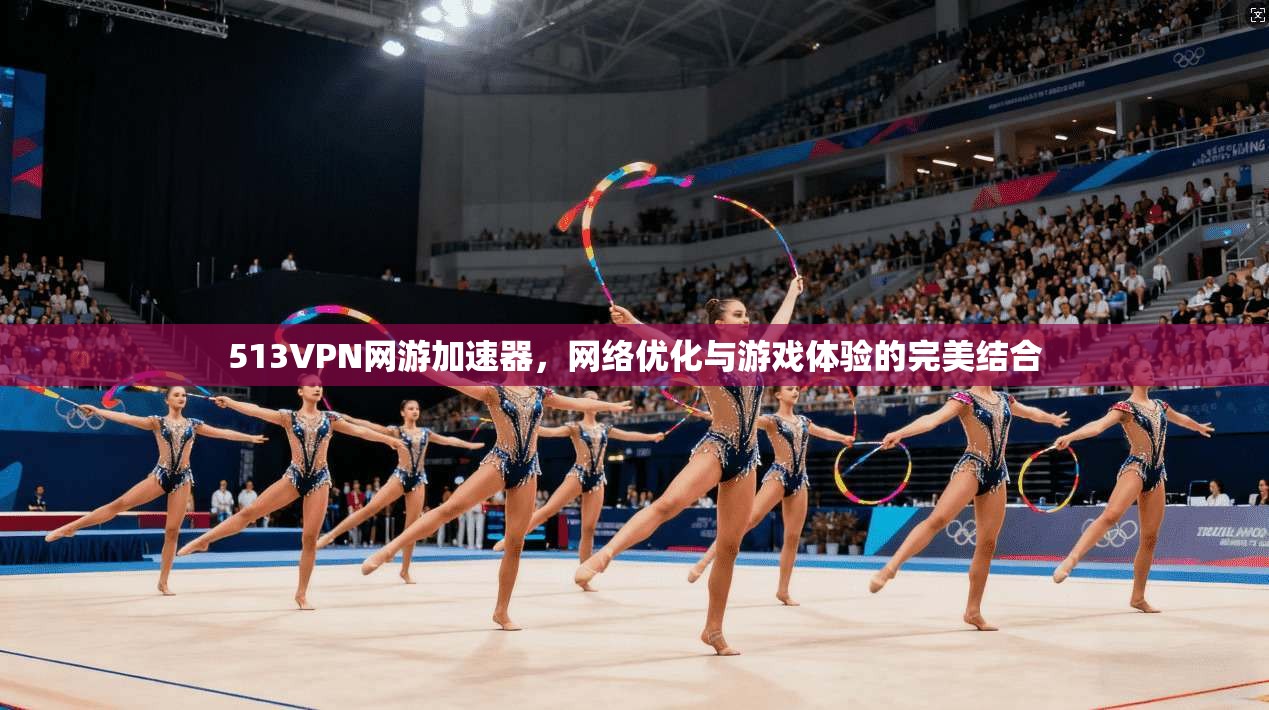 513VPN网游加速器，网络优化与游戏体验的完美结合