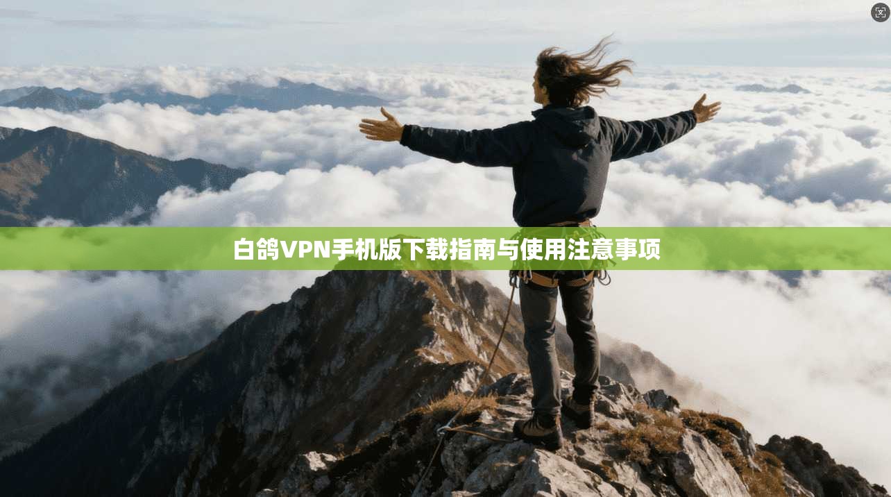 白鸽VPN手机版下载指南与使用注意事项