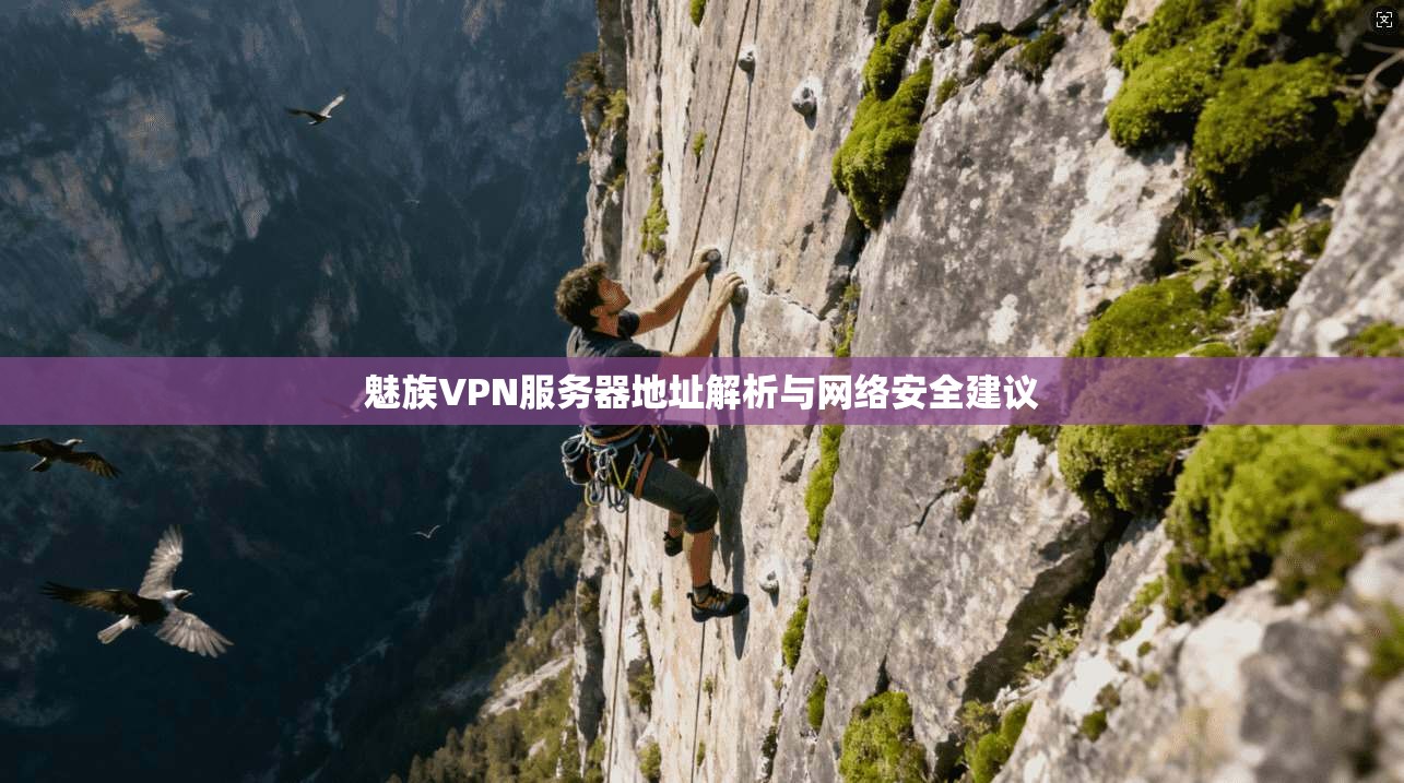 魅族VPN服务器地址解析与网络安全建议
