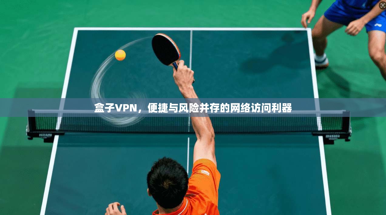 盒子VPN，便捷与风险并存的网络访问利器