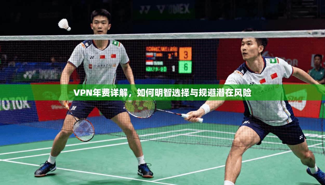 VPN年费详解，如何明智选择与规避潜在风险