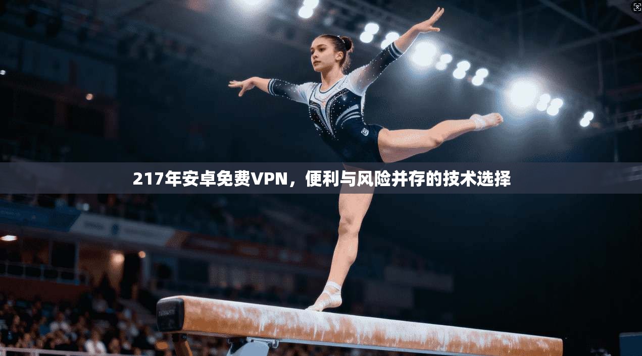217年安卓免费VPN，便利与风险并存的技术选择