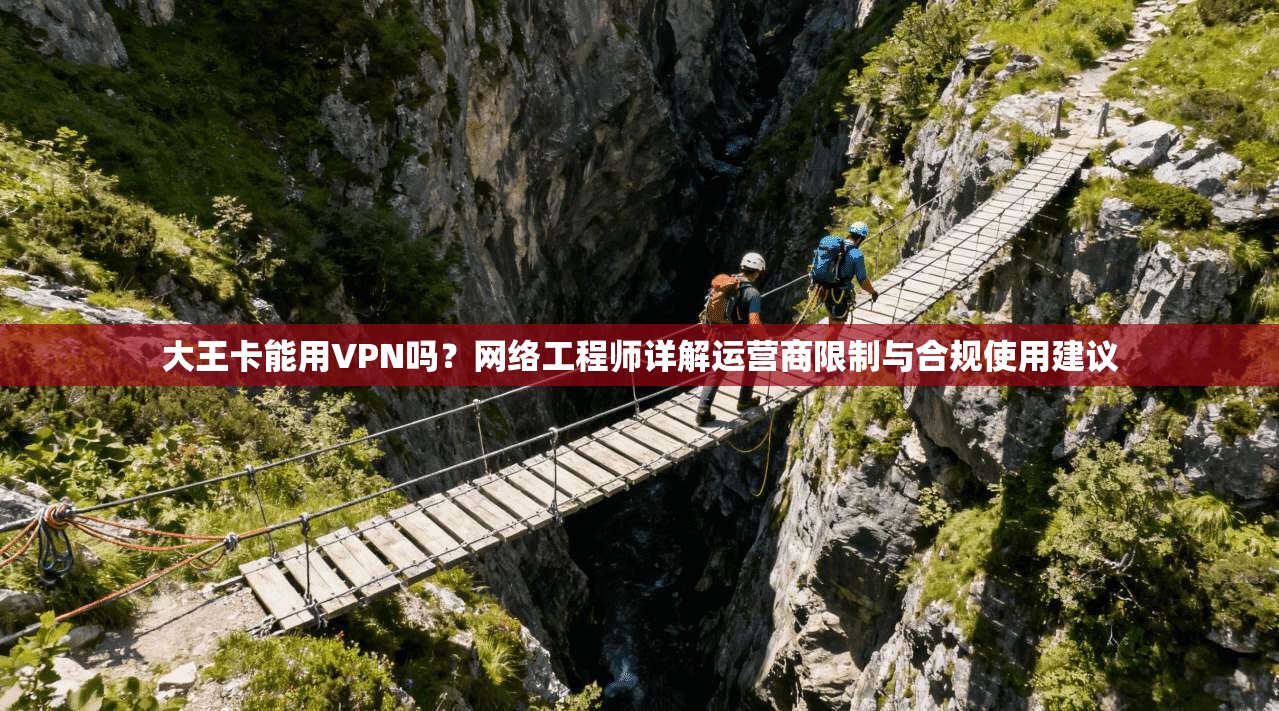 大王卡能用VPN吗？网络工程师详解运营商限制与合规使用建议