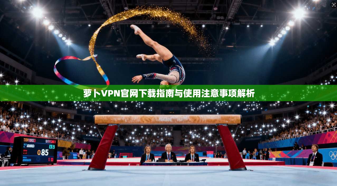 萝卜VPN官网下载指南与使用注意事项解析