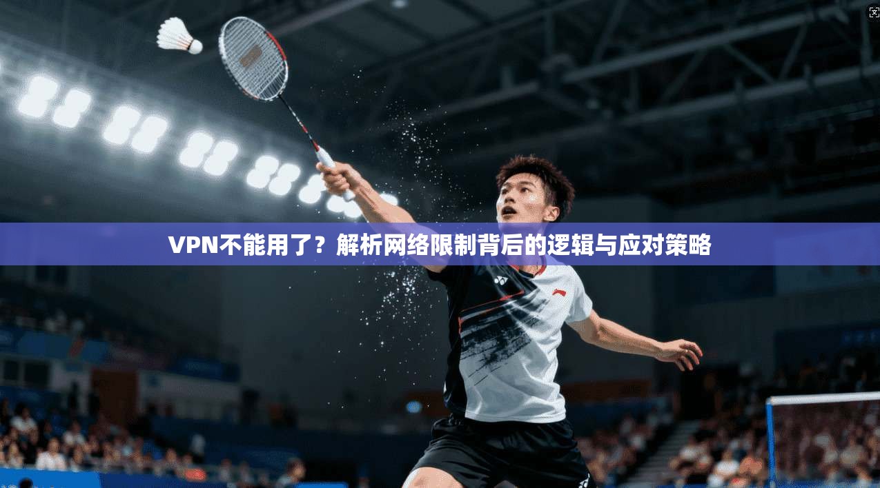 VPN不能用了？解析网络限制背后的逻辑与应对策略